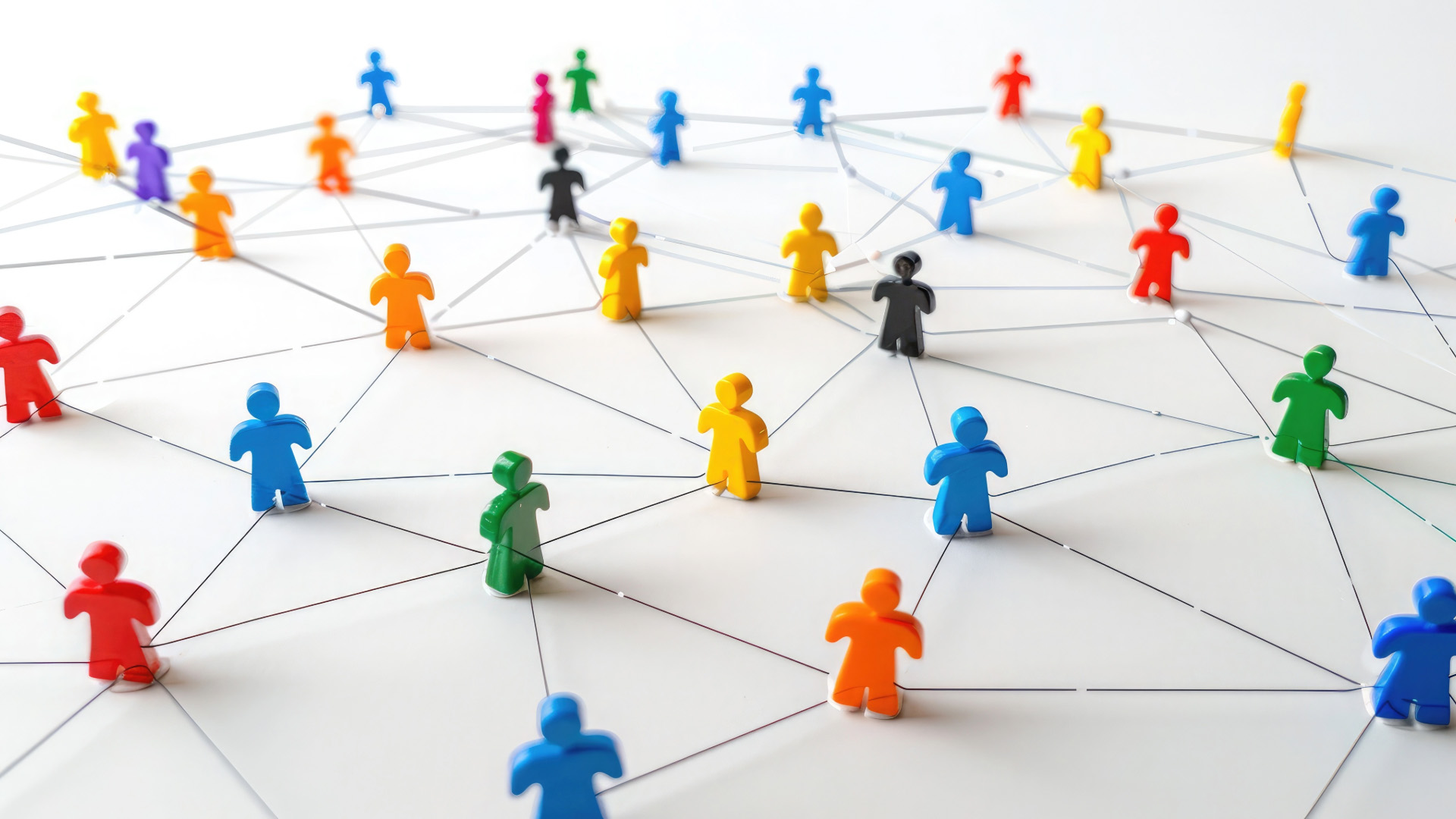 L'importanza del confronto e della ricerca